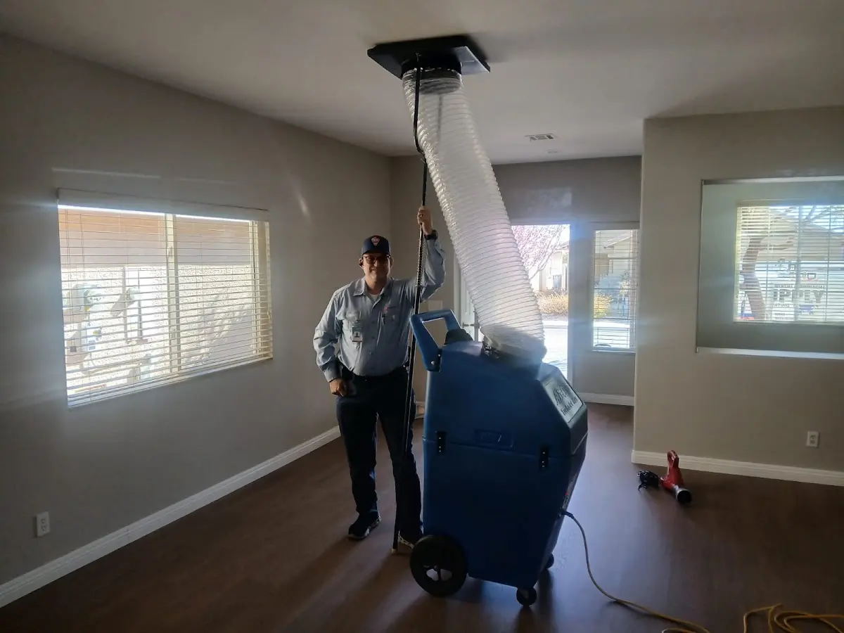 Professional Dryer Vent Cleaning work inside a Flushing home